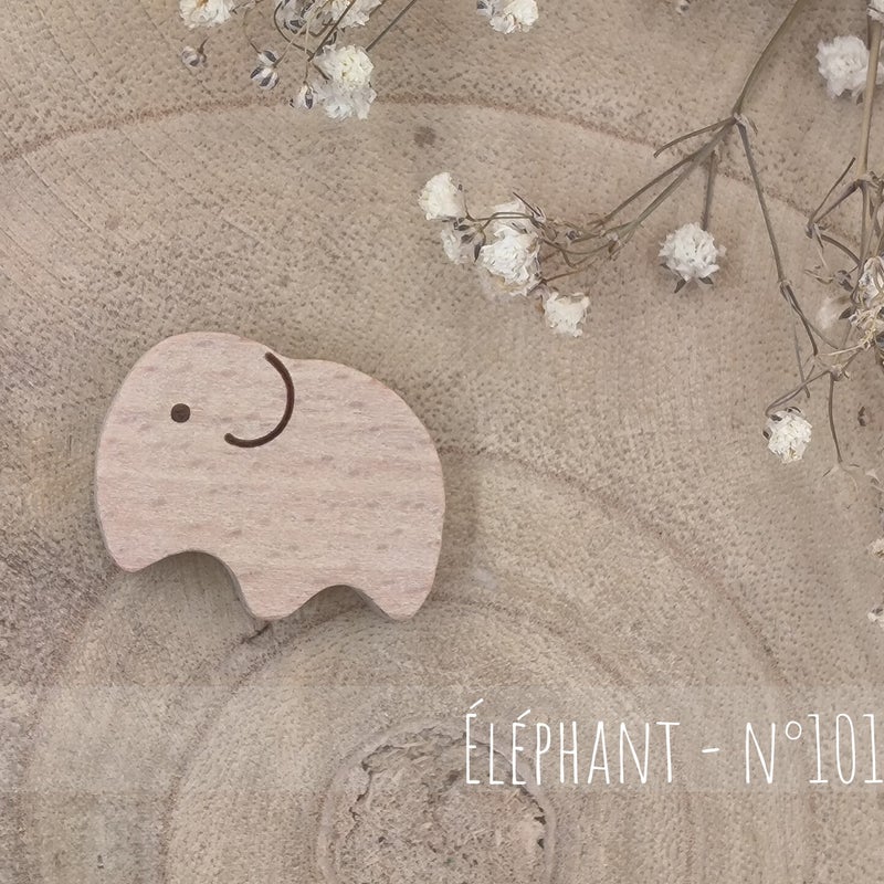 Elephant - n°1019