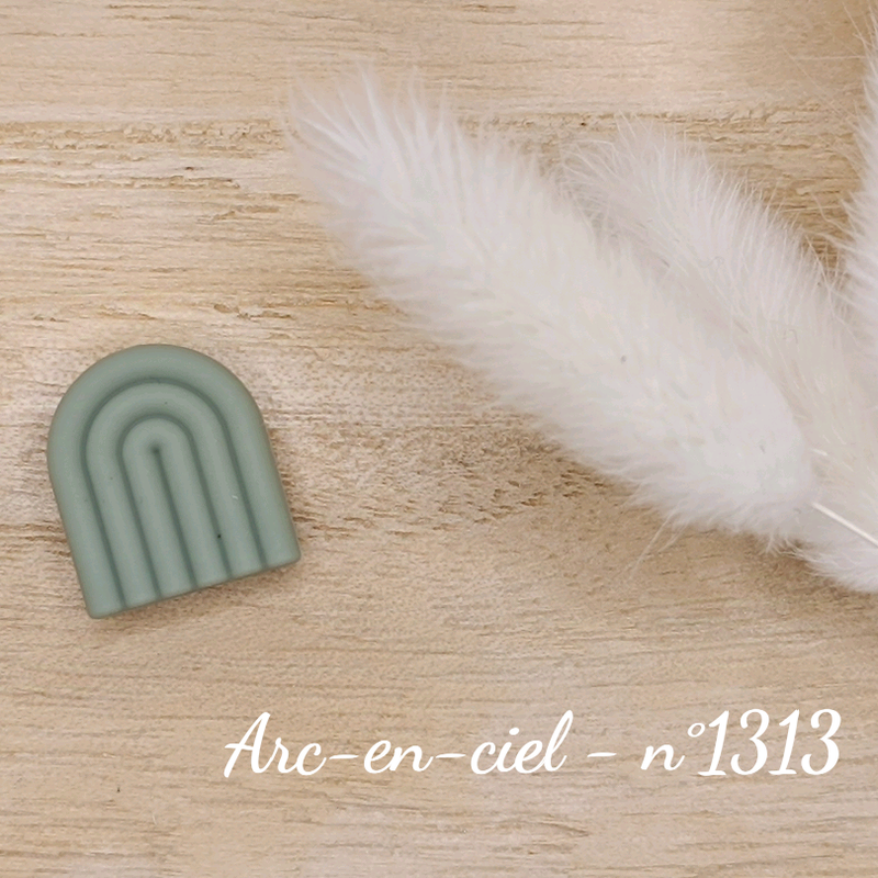 Arc-en-ciel - n°1313