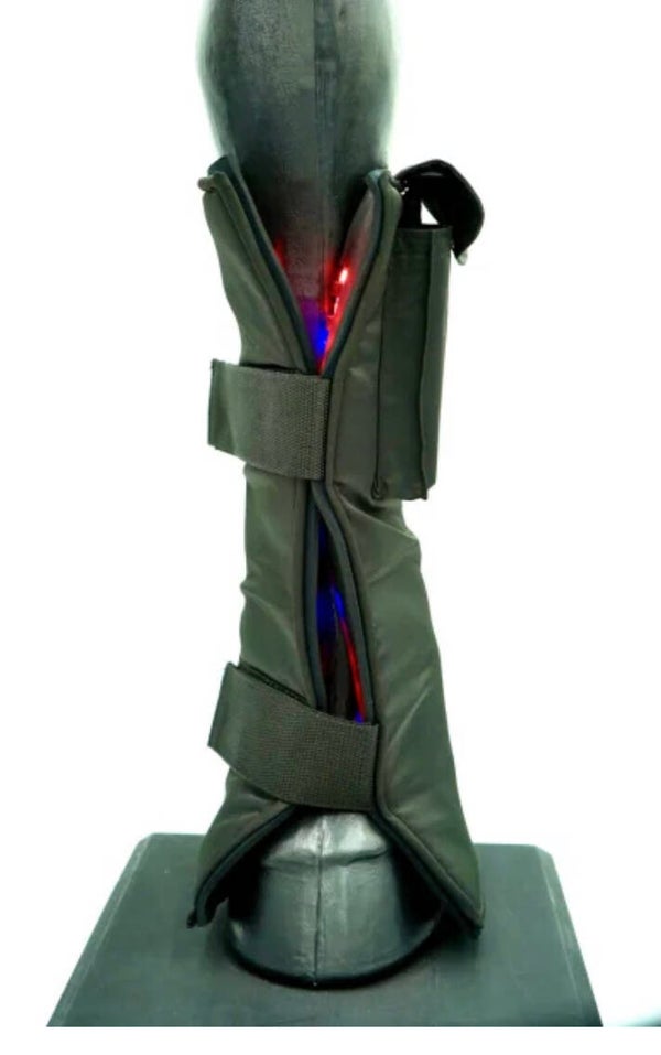 Equine LTS 2.0 Neoprene