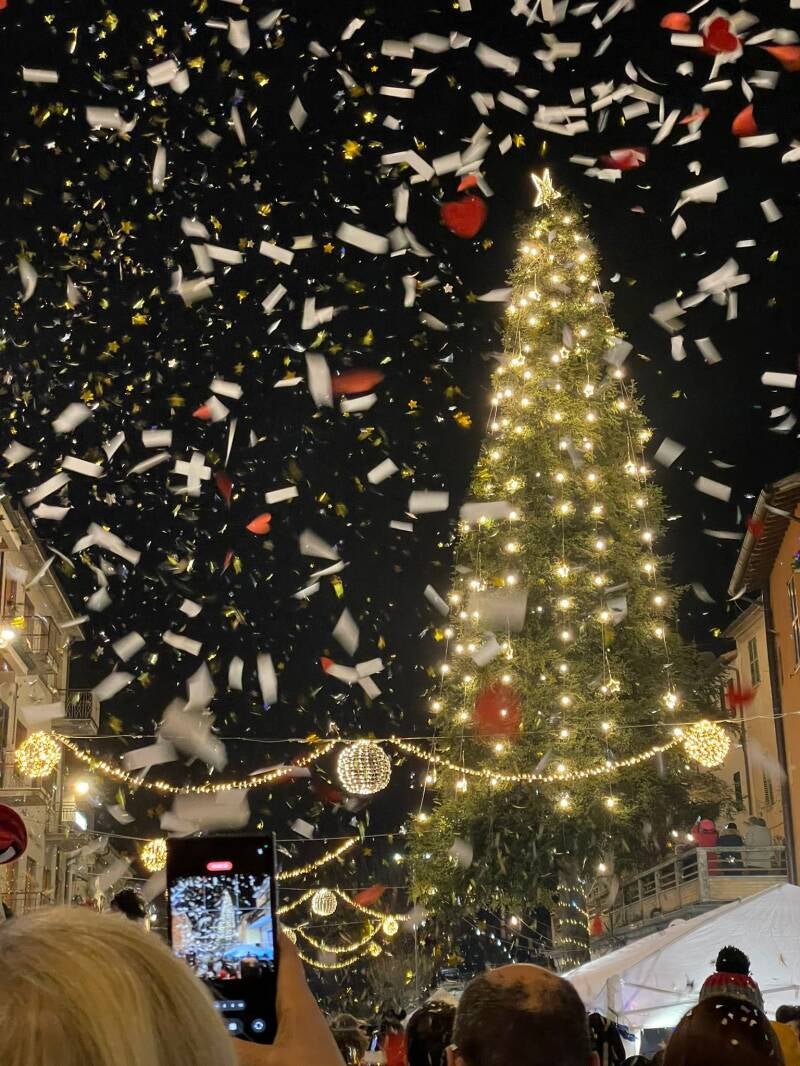 albero-sassoferrato-standard.jpg