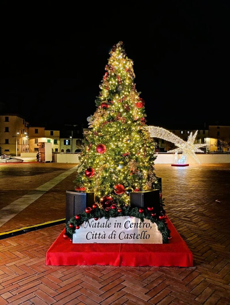 albero-targa-standard.jpg