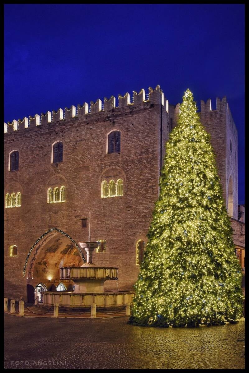 albero2024-fabriano-angelini-standard.jpg