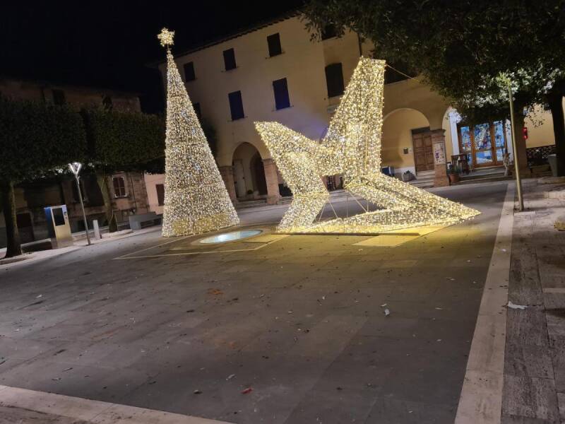 alberosigillo-standard.jpg