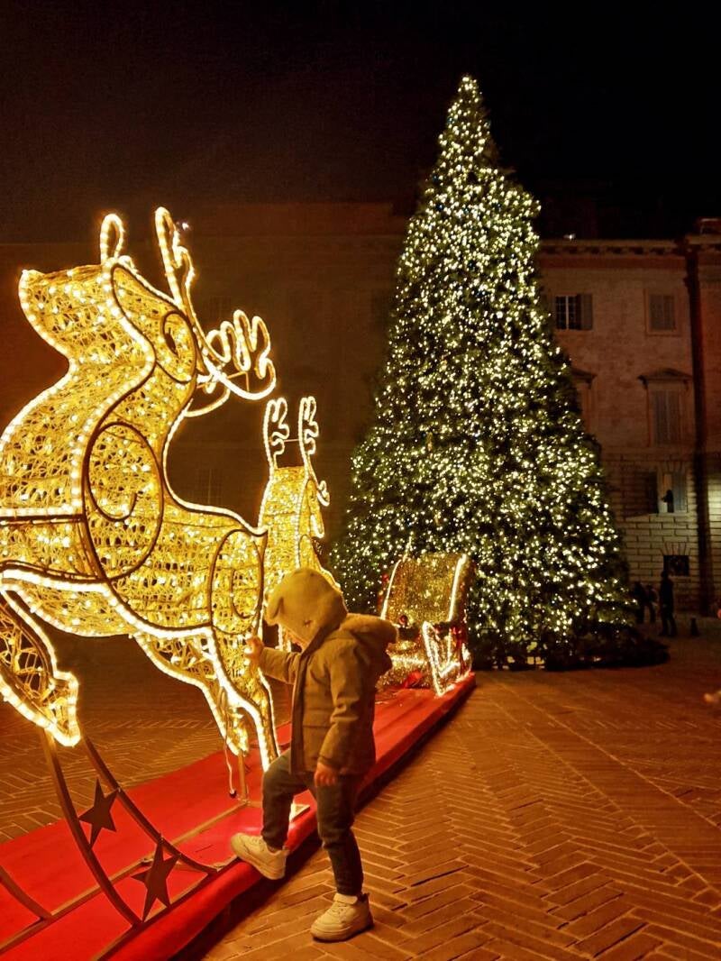 slitta-renna-piazza-grande-bimbo-standard.jpg
