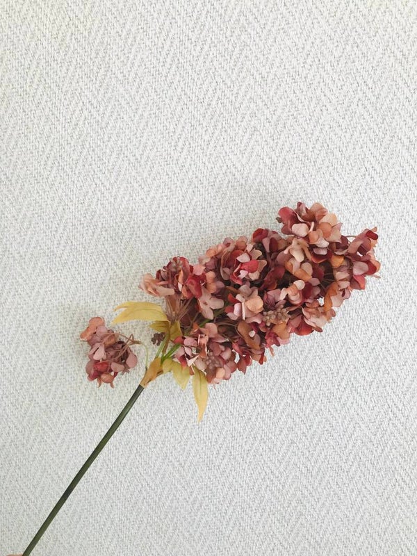 Bloem Hortensia Oud Roze