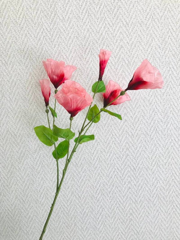 Bloem Klaproosjes Roze