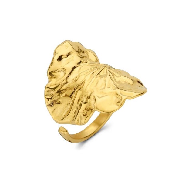 Anakin Ring vergoldet