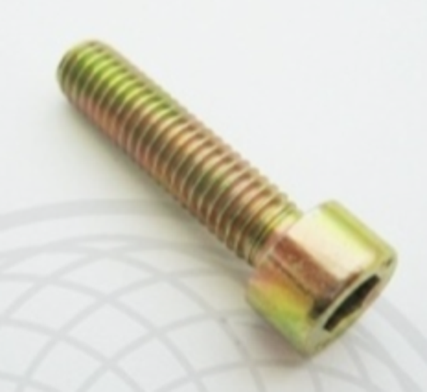 Rotax max power valve bout M6X16