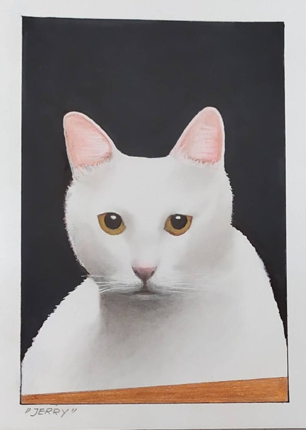 Animali a colori e in bianco e nero