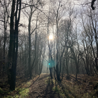 Mindful walking
