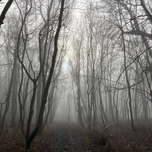 Walking meditation