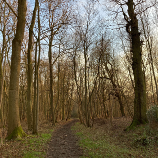Mindfulness in nature