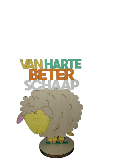 Van harte beterschaap Flora Memento