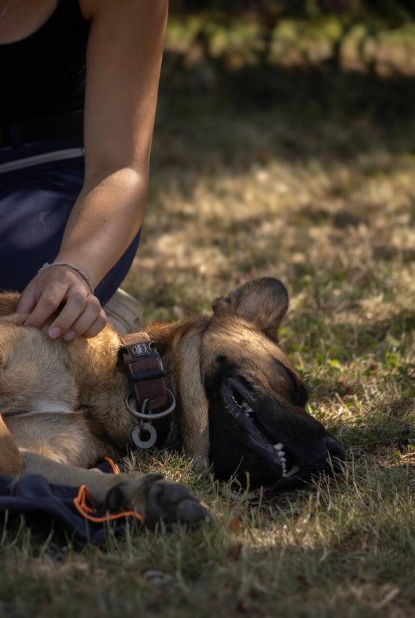 Massage découverte