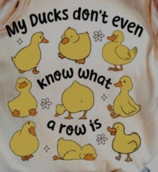 Ducks in a row