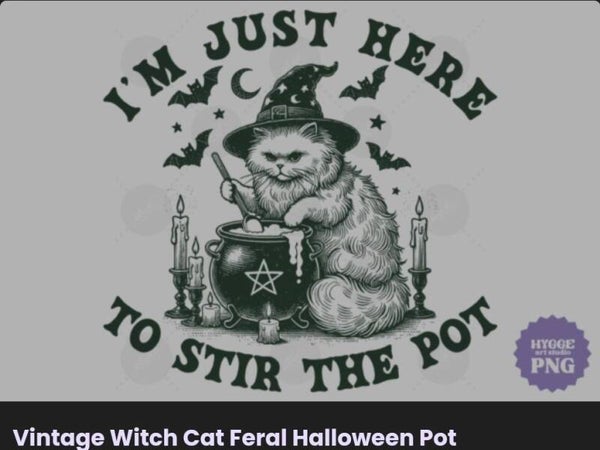 Vintage Witch cat Feral Halloween