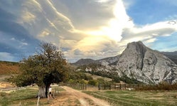 Camino de tierra bajo un cielo lleno de nubes al atardecer, con un gran árbol a la izquierda y montaña escarpada al fondo.