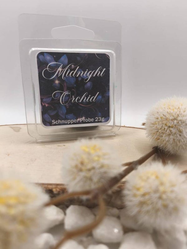 Midnight Orchid