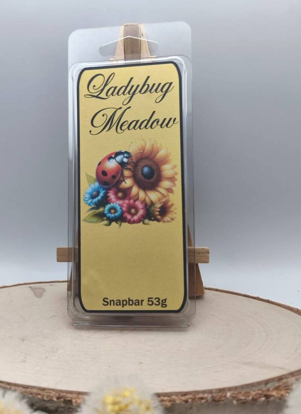 Ladybug Meadow