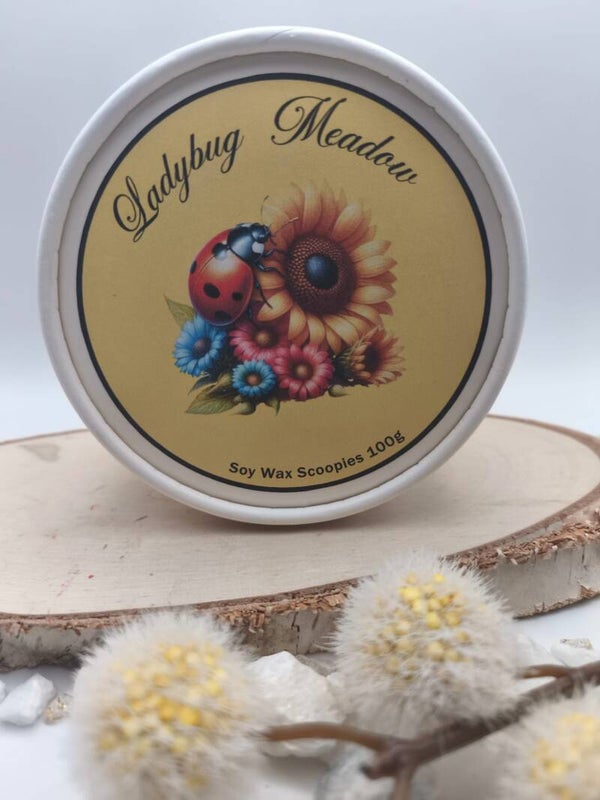 Ladybug Meadow