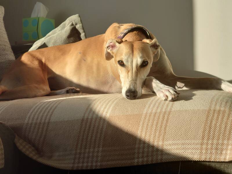 Vera!