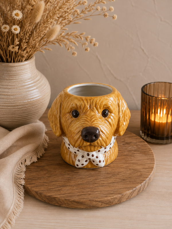 Vaas labradoodle