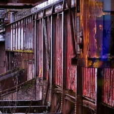 _dsc5795_1-standard.jpg