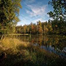 l2_dxo-800pix-standard.jpg