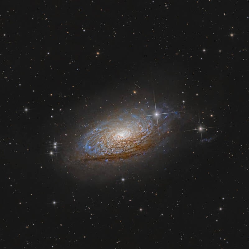 Sunflower Galaxy