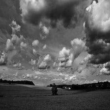 p1050798-standard-5konr2.jpg