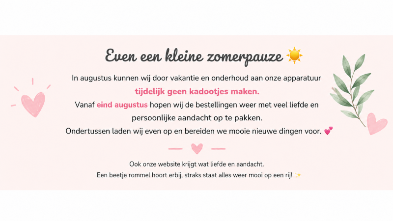 Zomer Pauze - Website onderhoud