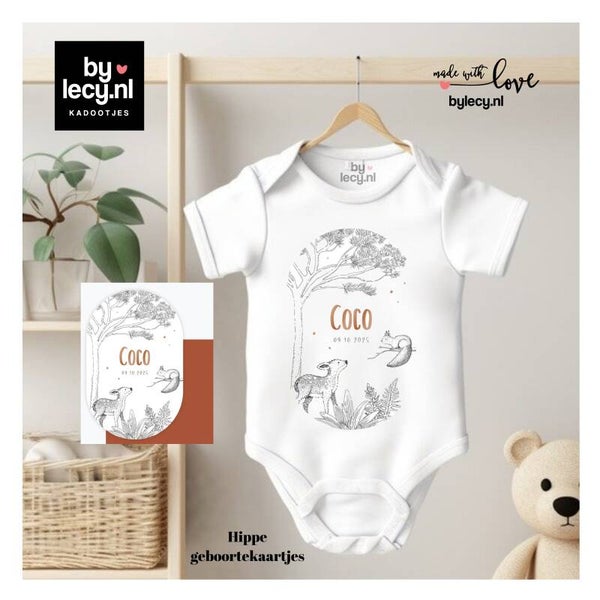 Het geboorte kaartje op rompertje