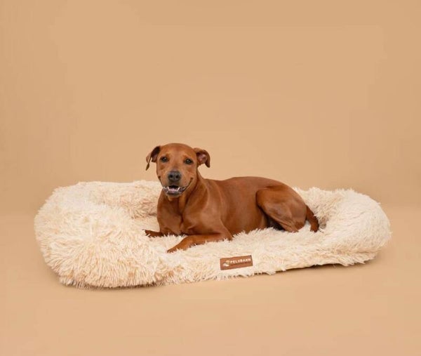 Orthopedisch Bed Pelsbarn