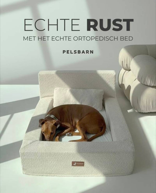 Het ‘ECHTE’ Orthopedische Bed Pelsbarn