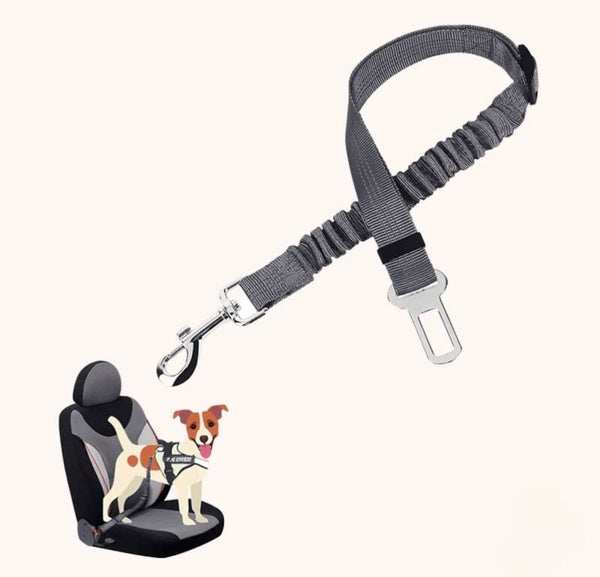 Veiligheidsgordel met een Elastische Bungee-Buffer