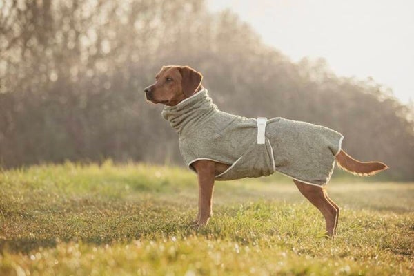 Hondenbadjas Dog Wellness