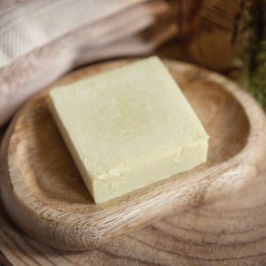 Natuurlijke Shampoo Bars Dog Wellness