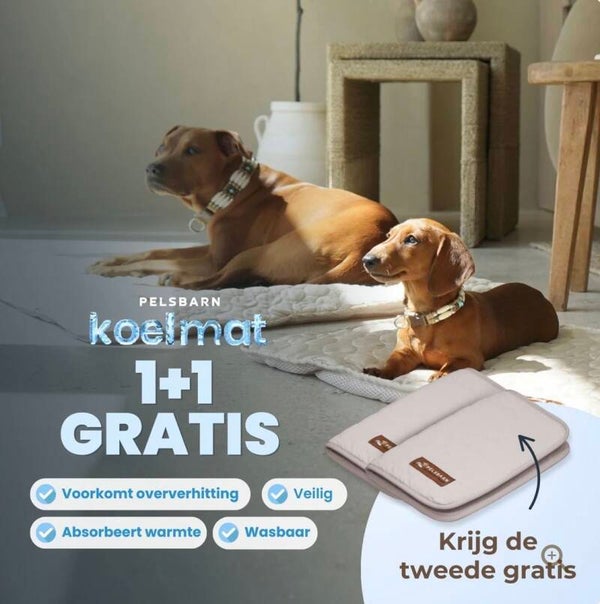 Pelsbarn Verkoelende Hondenmat (1+1)