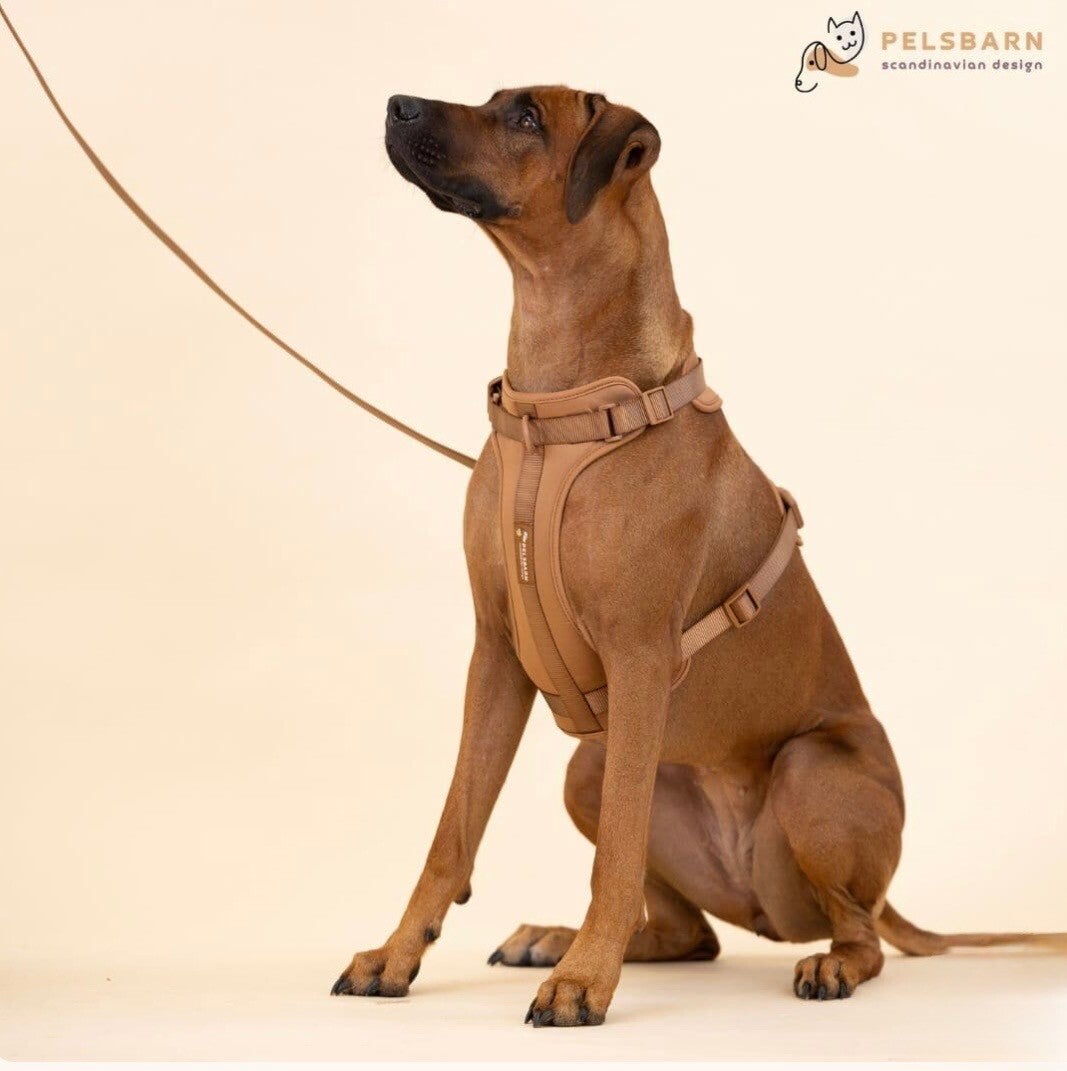 Harnas Wandelset Pelsbarn