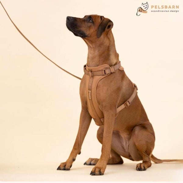 Harnas Wandelset Pelsbarn