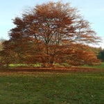 IMG-20191124-WA0000-1.jpeg