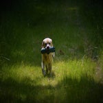 d15f604e-0fa1-4b98-8dae-e8088776ffb7.jpg