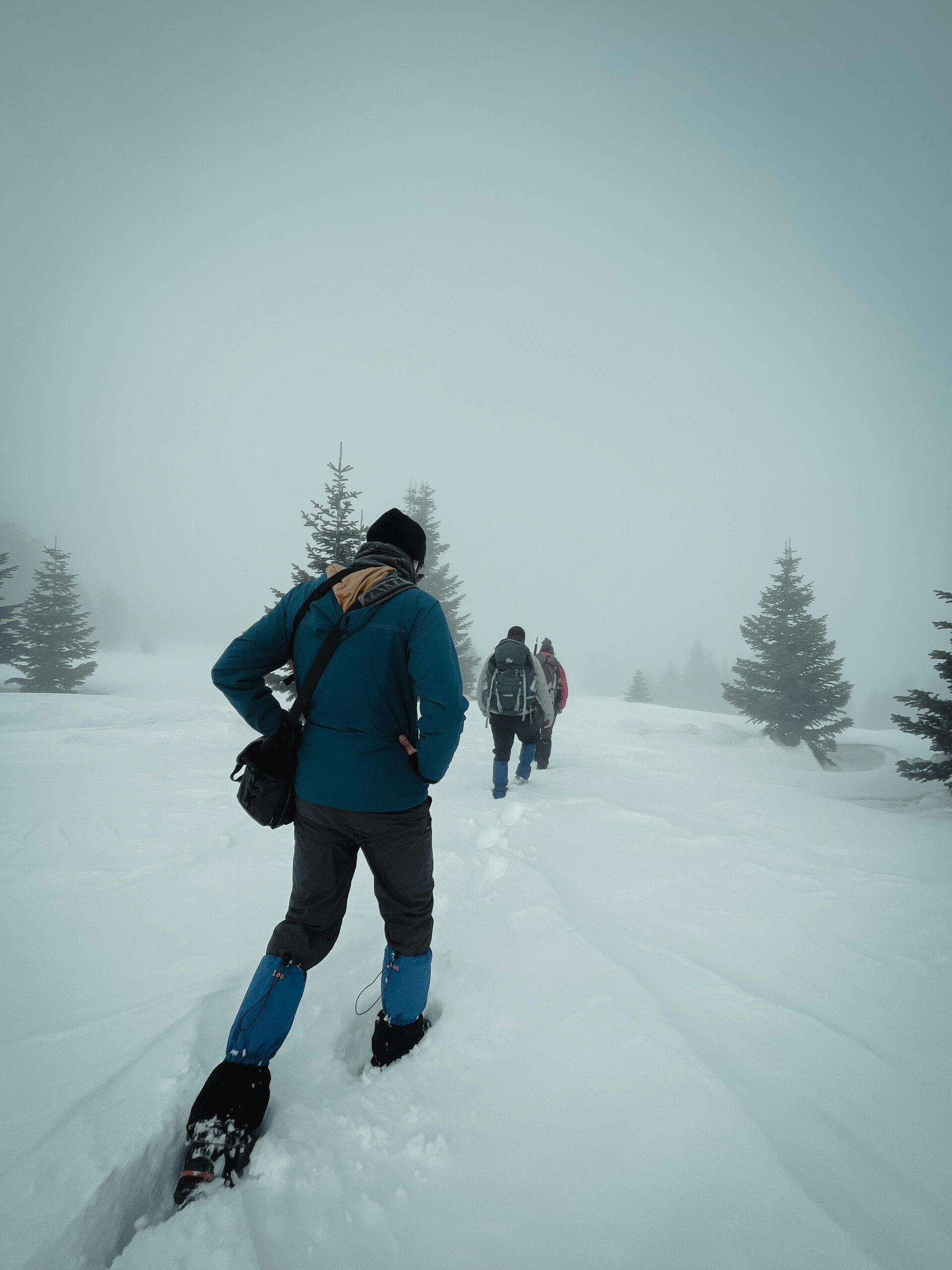 Skiers enjoying a shared winter experience in the Swiss Alps
