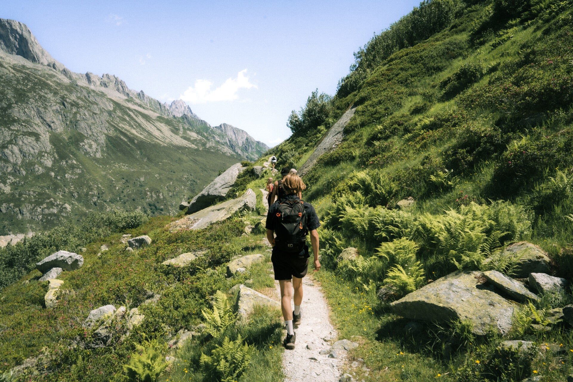 Hikers following a narrow trail through a green Swiss mountain valley