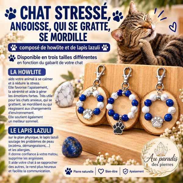Chat stressé, angoisse,qui se gratte , se mordille