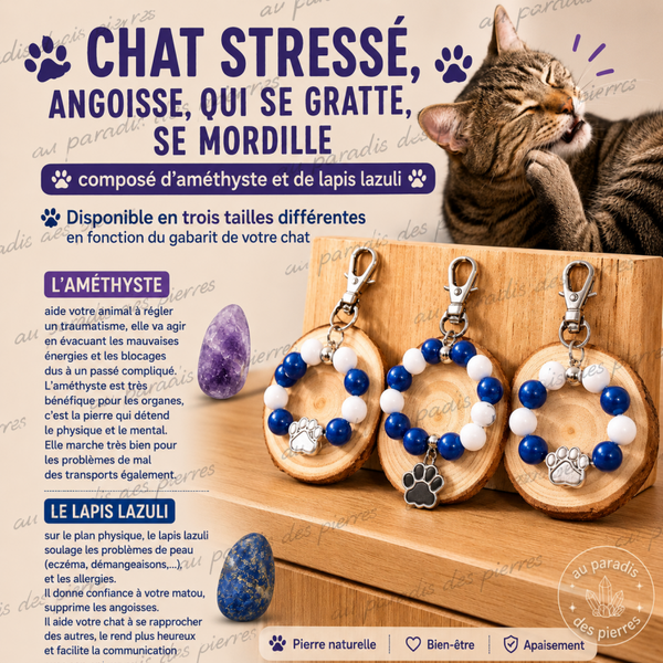 Chat stressé, angoisse,qui se gratte , se mordille