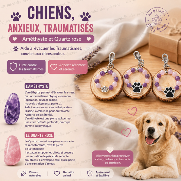 Chiens ,anxieux,traumatisés,