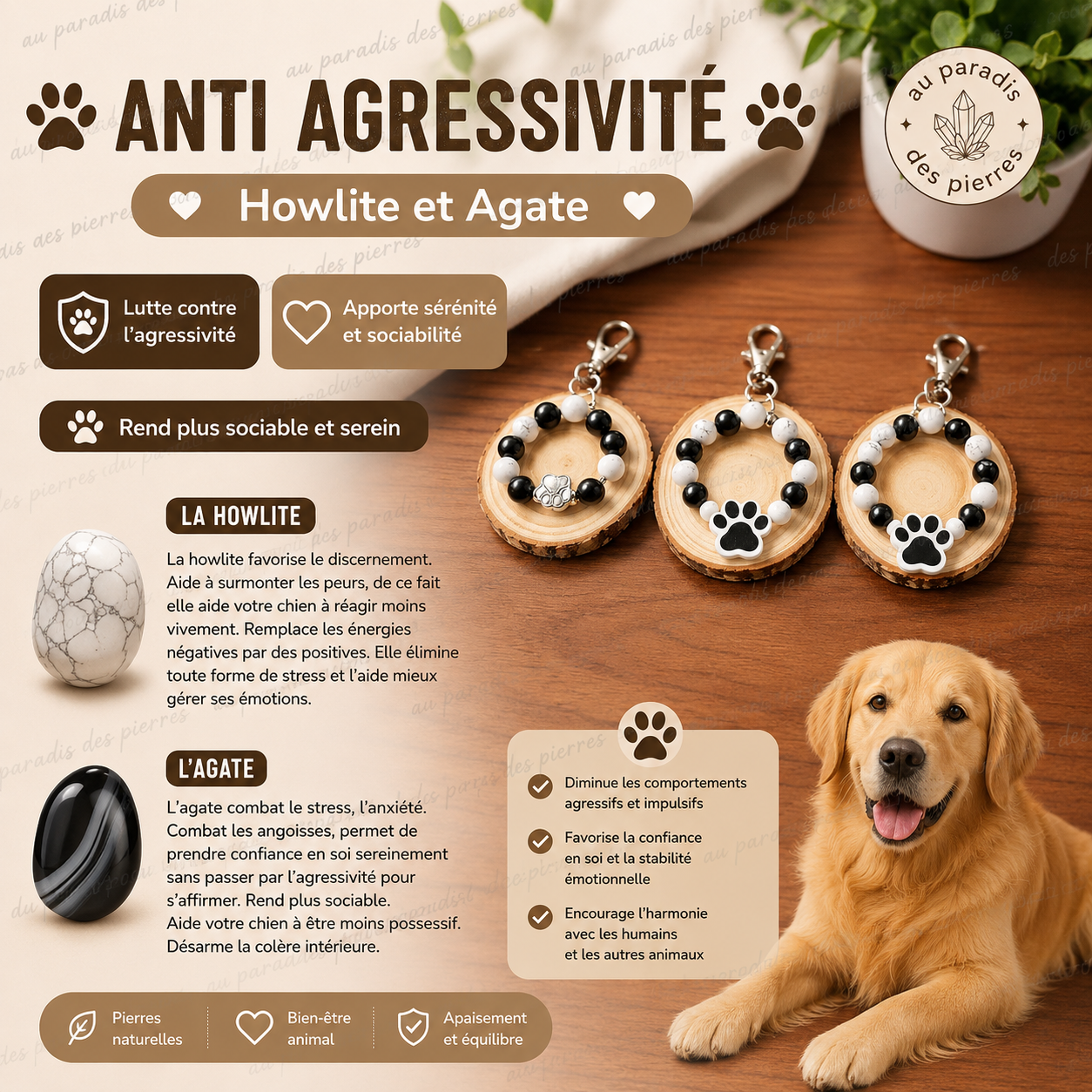 Anti agressivité