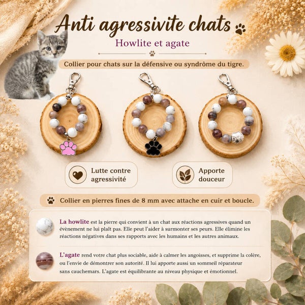 Anti agressivité