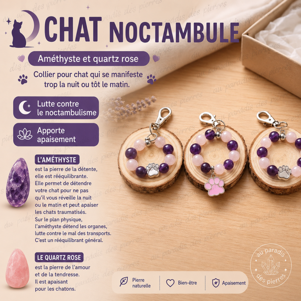 Chat noctambule